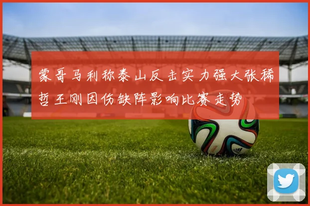蒙哥马利称泰山反击实力强大张稀哲王刚因伤缺阵影响比赛走势